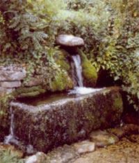 BGS © NERC 1998 - the Crocodile Spring at Compton Abdale in the Cotswold Hills