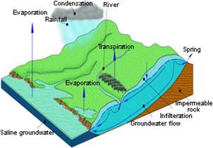 BGS © NERC 1998 - groundwater in the hydrological cycle